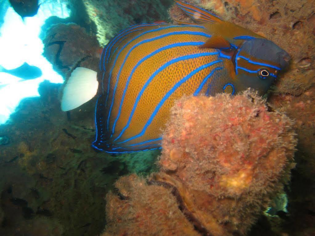 Ombak Dive Resort Pulau Perhentian Kecil Bagian luar foto